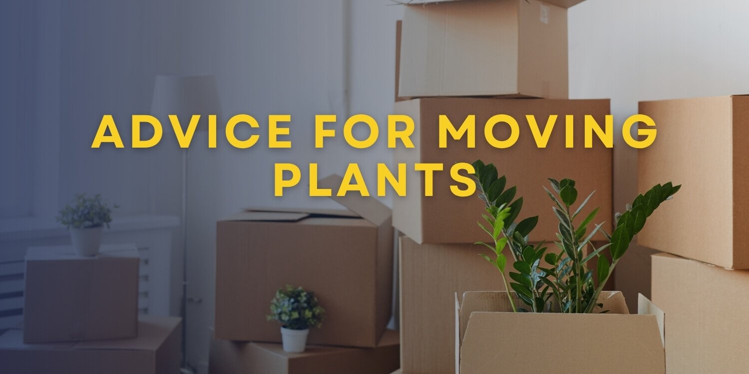 moving-plants