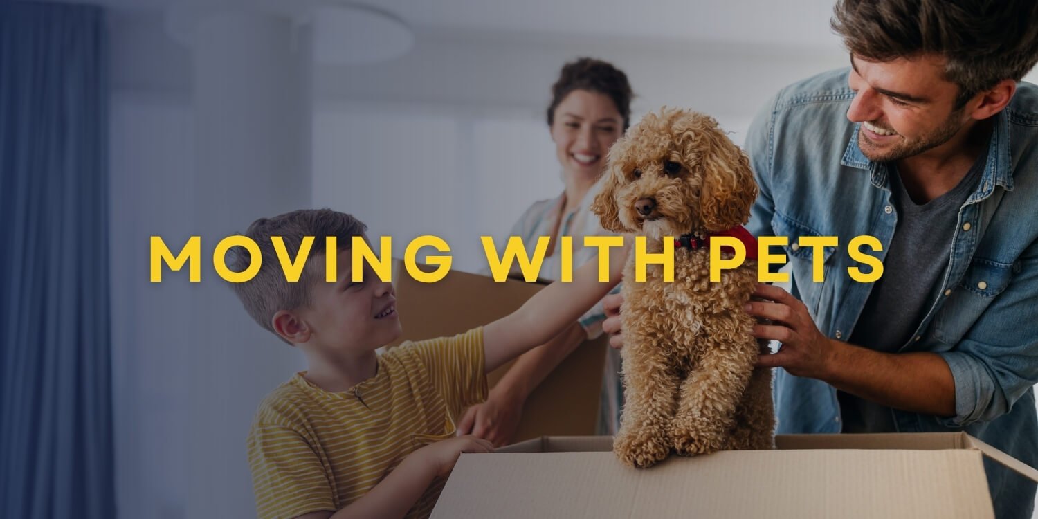 moving with Pets